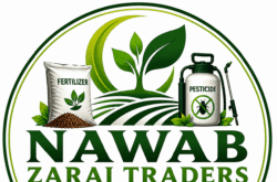 Nawab Zarai Trader's